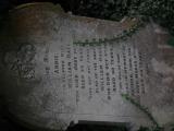 image of grave number 954326